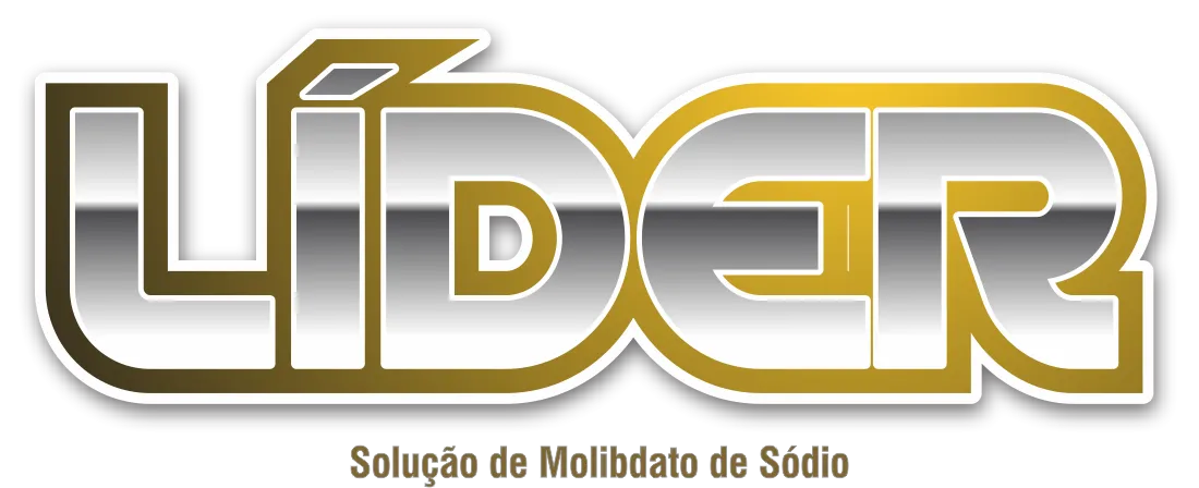 Líder